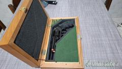 Colt Python 6
