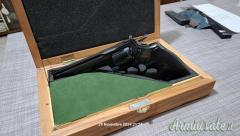 Colt Python 6