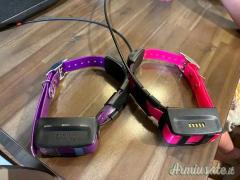 Dispositivo Garmin Driver 71 con collare Alpha e TT15