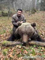 Caccia ai ungulati in Croazia
