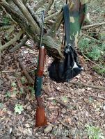 Carabina 30-06 Remington 742 wood master