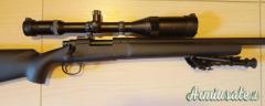 Remington 700 police .308 Winchester