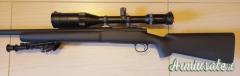 Remington 700 police .308 Winchester