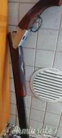 Rizzini  12
