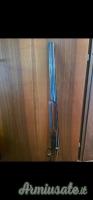 Perazzi high tech 12
