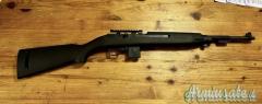 Chiappa Armi m1 .22 Long Rifle