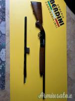 Beretta A 303 20 con due canne