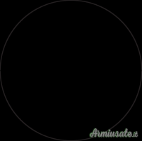 Ottica Nightforce competition 15-55X52MM