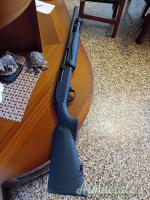Hatsan escort 12