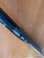 Benelli Raffaello Slug 20