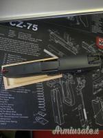 Sig Sauer P320 9x21mm IMI