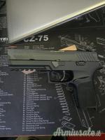 Sig Sauer P320 9x21mm IMI