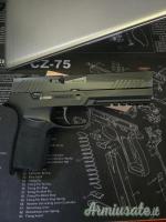 Sig Sauer P320 9x21mm IMI