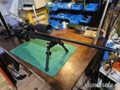 CZ 527 .223 Remington