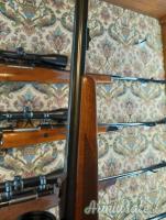 Winchester 70 .416 Remington Magnum