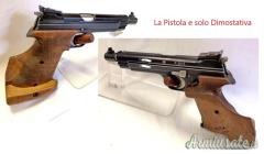 Anatoniche per SIG P 210