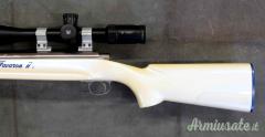 Sinclair Hall Varmint 6 PPC