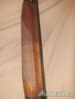 Benelli Crio  12