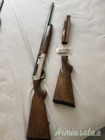 Benelli Raffaello premio 12