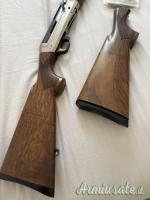 Benelli Raffaello premio 12