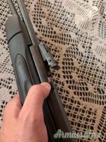 Carabina gamo cfx