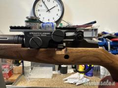 Springfield M1A National Match .308 Winchester