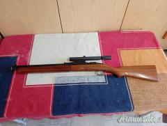 Sheridan cal 20-( 5mm)