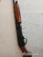 Armsan escorth pump .410