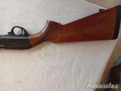 Armsan escorth pump .410