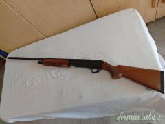 Armsan escorth pump .410