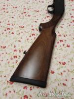 Beretta 301 20