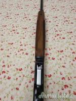 Beretta 301 20