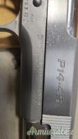 Para Ordnance P14.45 .45 ACP