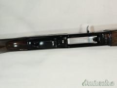 Beretta 301 20