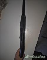 Optima 12