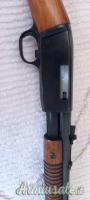 Browning Pompa  .22 Long Rifle