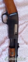 Browning Pompa  .22 Long Rifle