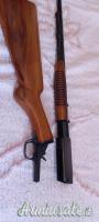 Browning Pompa  .22 Long Rifle