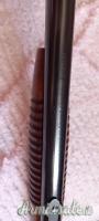 Browning Pompa  .22 Long Rifle