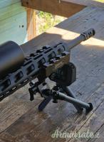 Ruger | Sturm Ruger Precision Rifle 308 win .308 Winchester
