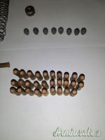 Pinza carica ridotta per Carcano cal 6,5