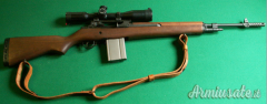 Springfield M1A .308 Winchester
