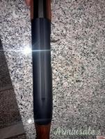 Beretta Al391 urika 12