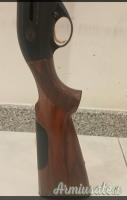 Beretta Al391 urika 12