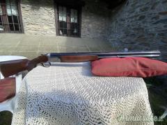 Fabarm gamma 12