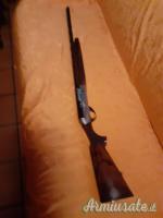 Benelli dynamic 20