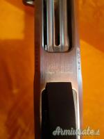Benelli dynamic 20