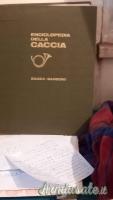 Beretta caccia 12