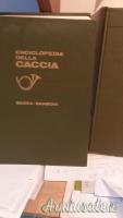 Beretta caccia 12