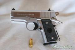 Para Ordnance P10-45 .45 ACP